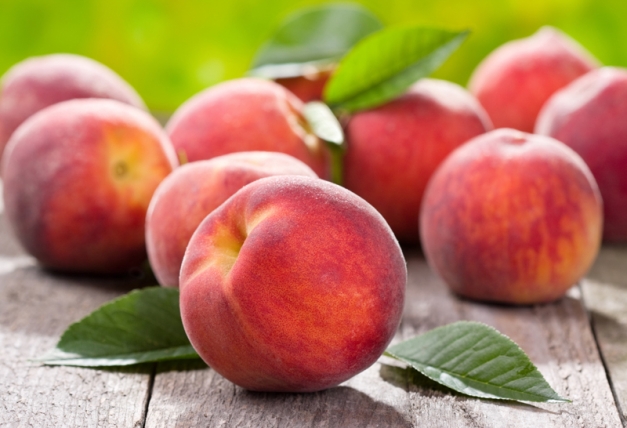 pêche nectarine 