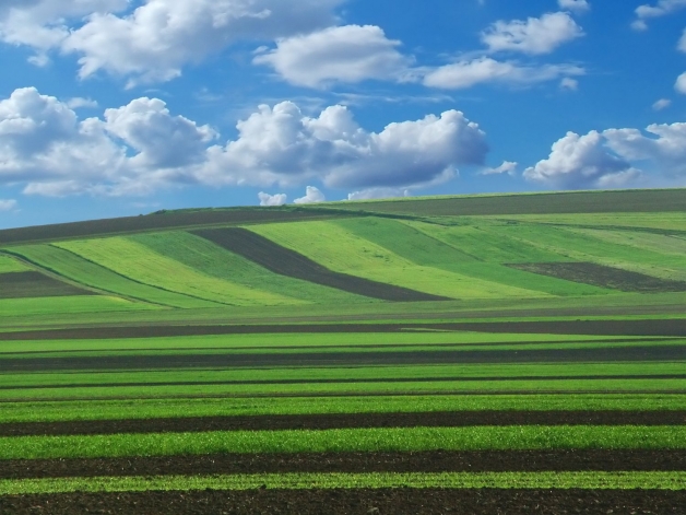 photo d'un paysage agricole