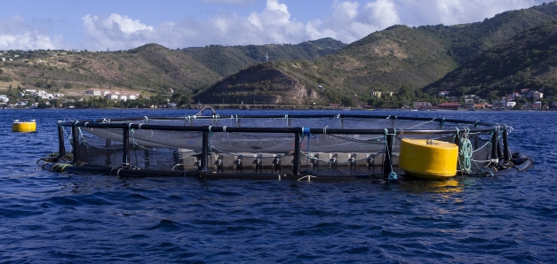 photo d'élevage aquaculture