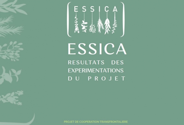 logo du projet Essica
