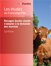 affiche étude de FranceAgriMer : Élevages bovins viande : s'adapter à la demande des marchés