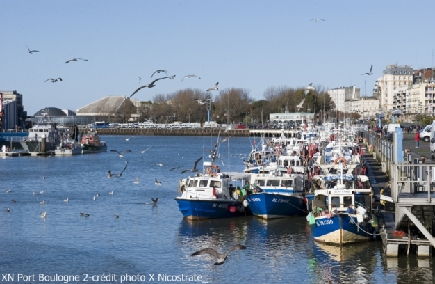 Image de déchargement de caisses de poisson