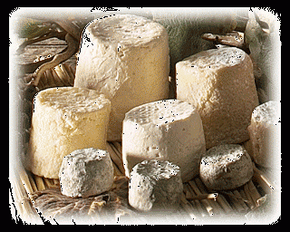 fromages-de-chevre-brebis